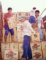 15- oder 20-Kilo-Kartons mit Aepfeln werden auf Lastwagen verladen  (7.9 K)