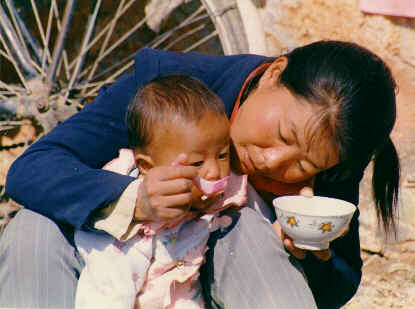 mother and child feeding, dali, yunan province, china  18.3 K
